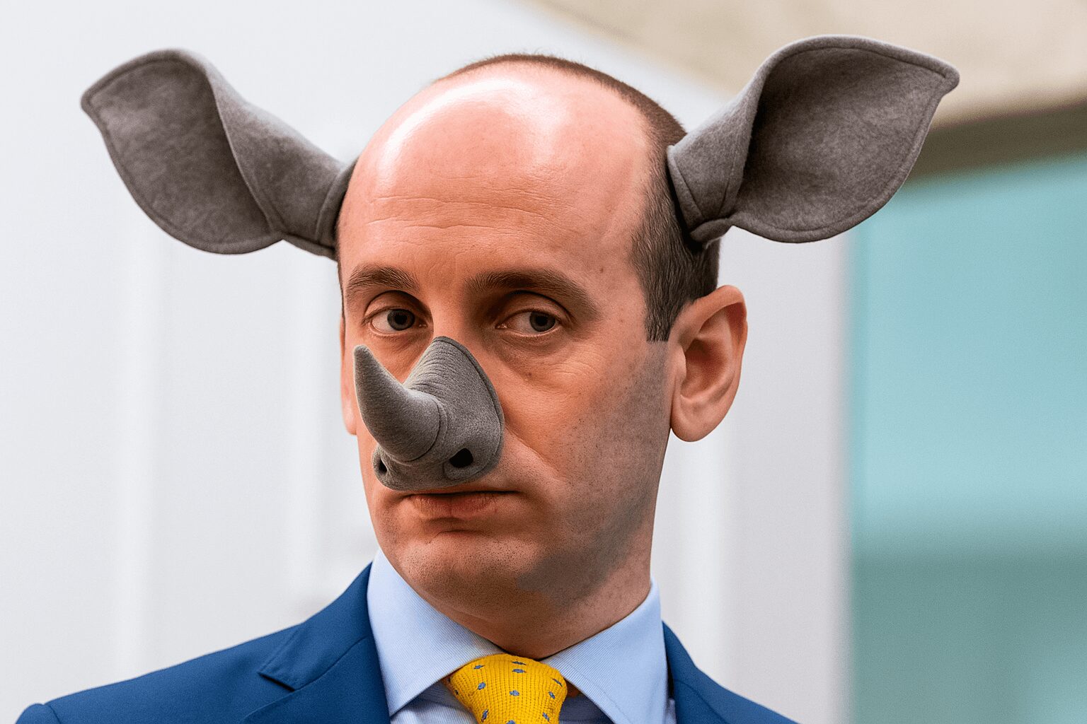 Stephen Miller Is A RINO